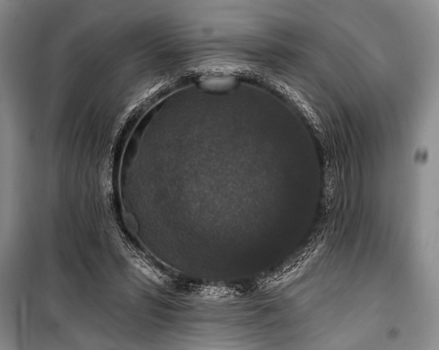 X0000101140399200806270924