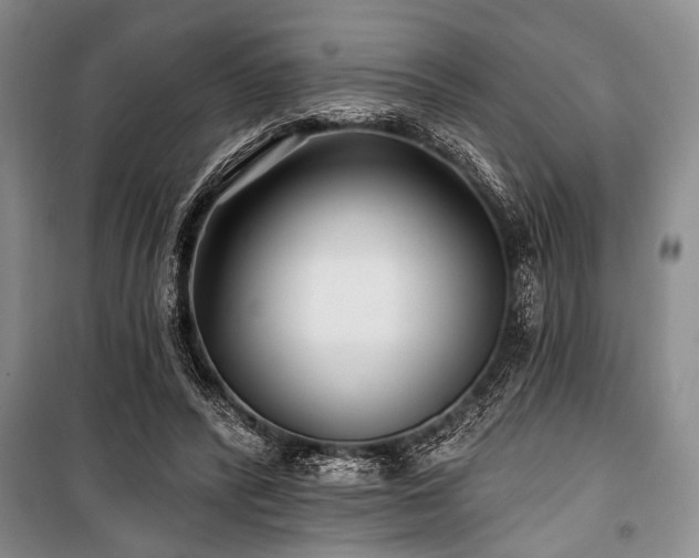 X0000101140400200806270924