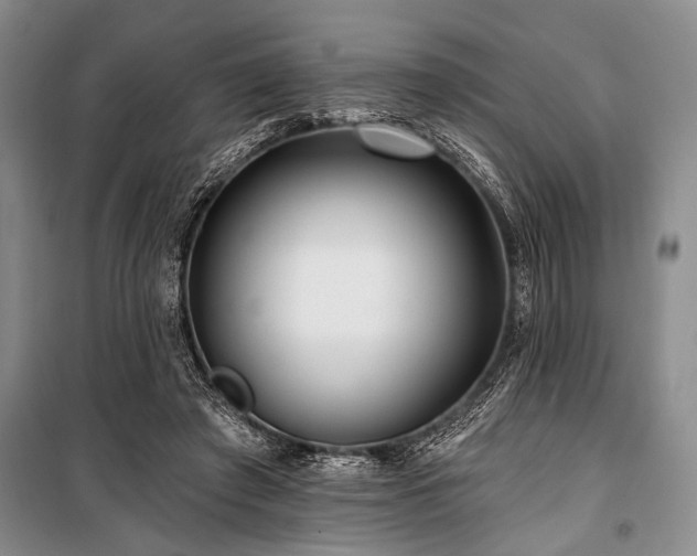 X0000101140401200806270924