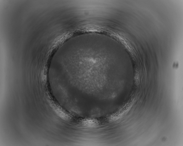 X0000101140402200806270924