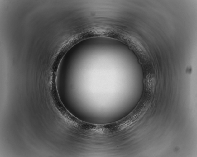 X0000101140404200806270924