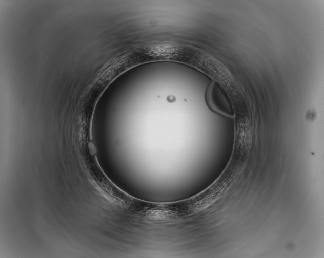 X0000101140408200806270924