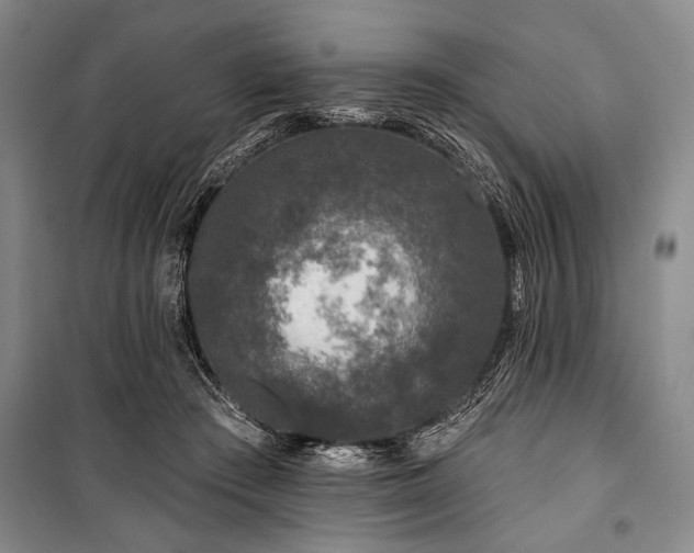 X0000101140409200806270924