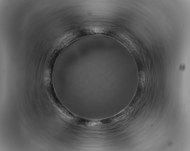 X0000101140410200806270924