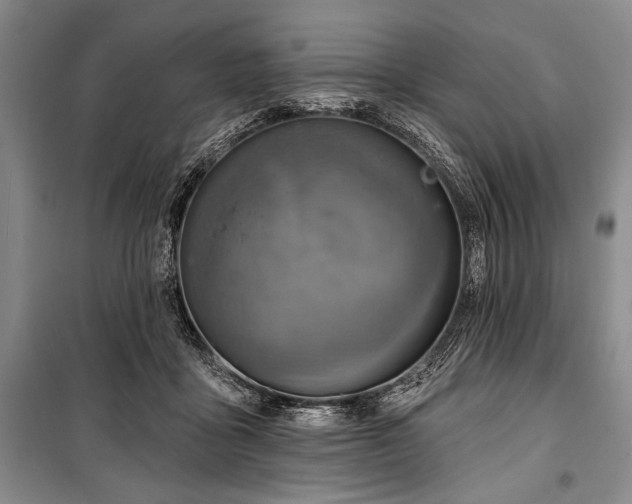 X0000101140411200806270924