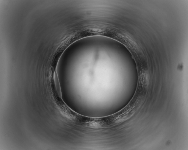 X0000101140412200806270924