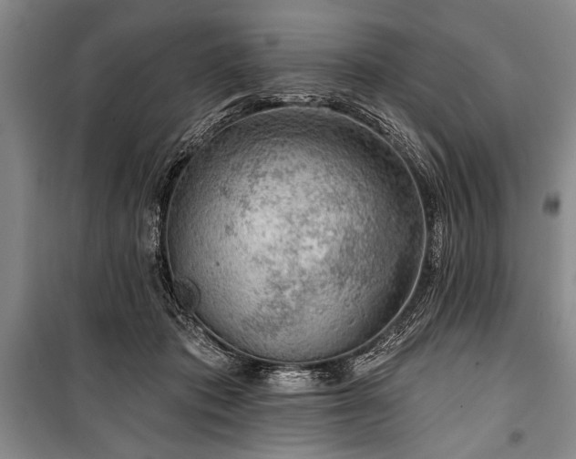 X0000101140413200806270924