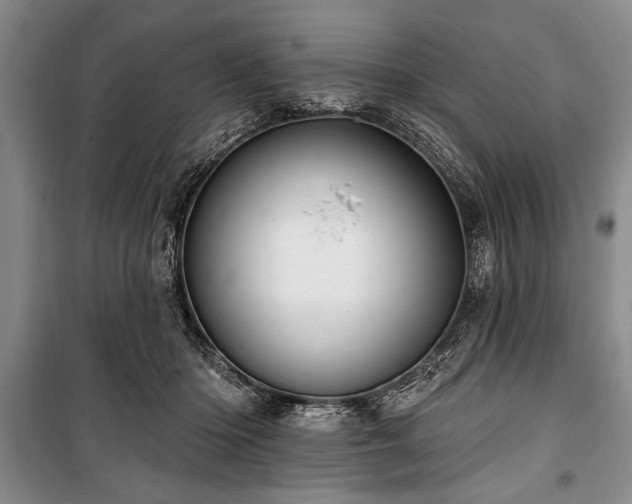 X0000101140414200806270924