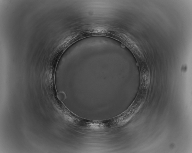 X0000101140415200806270924