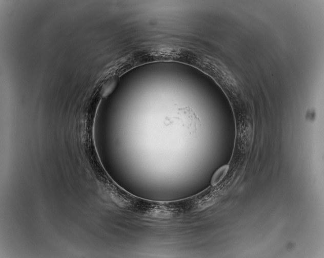 X0000101140416200806270924