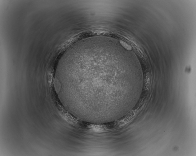 X0000101140417200806270924