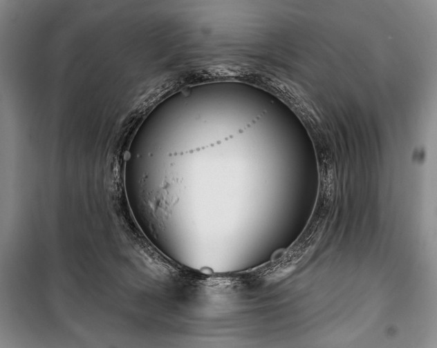 X0000101140418200806270924