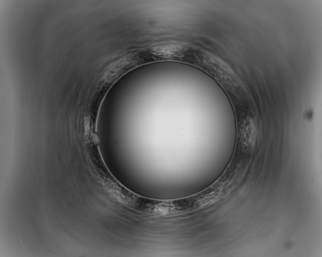 X0000101140420200806270924