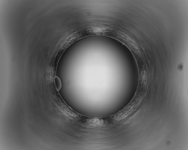 X0000101140421200806270924