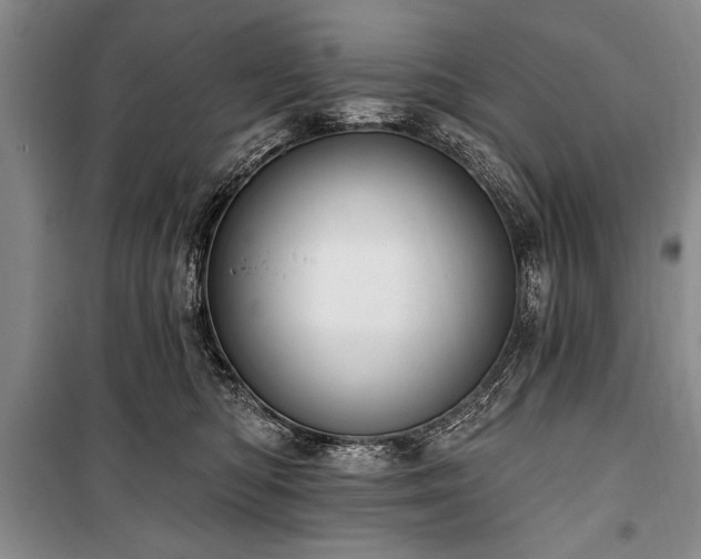 X0000101140422200806270924