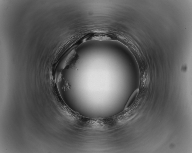 X0000101140424200806270924