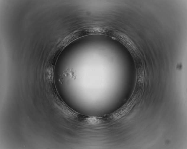 X0000101140425200806270924