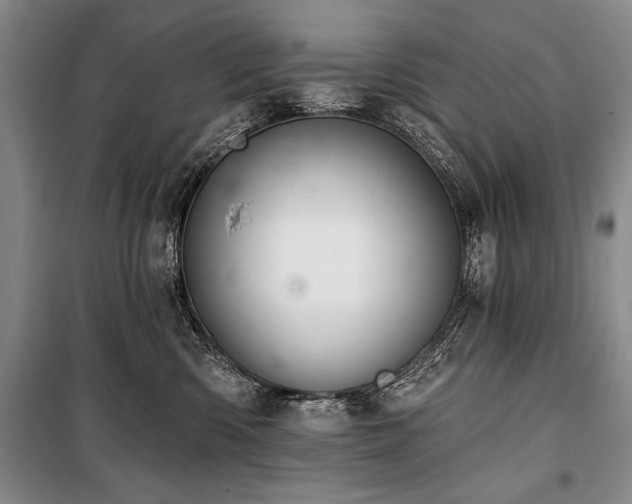 X0000101140426200806270924