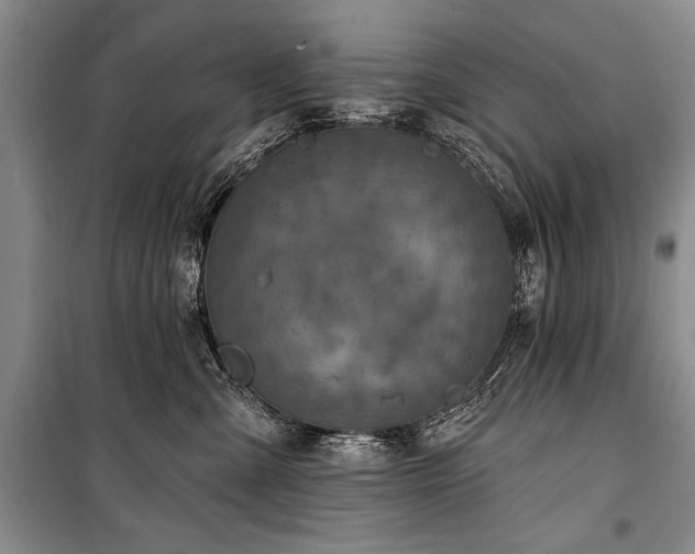 X0000101140427200806270924