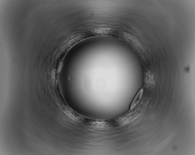 X0000101140428200806270924