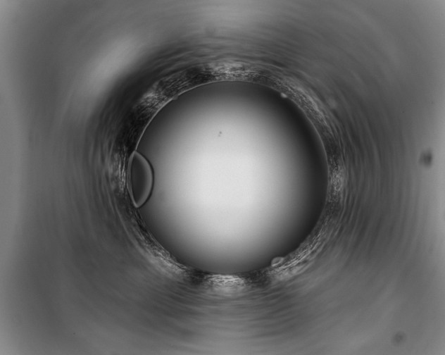 X0000101140429200806270924