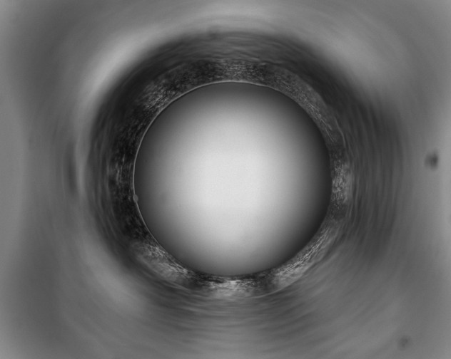 X0000101140430200806270924