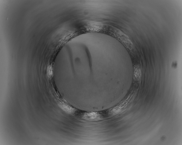 X0000101140431200806270924