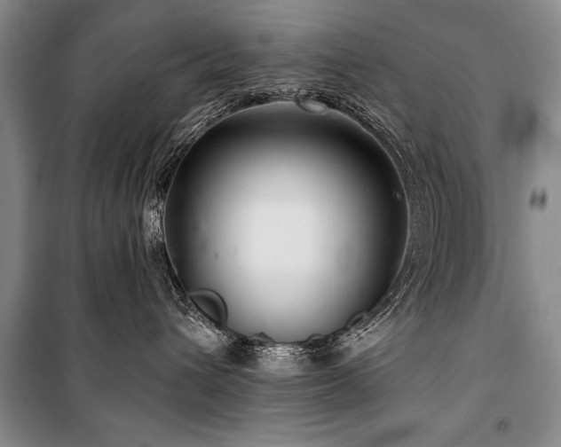 X0000101140432200806270924