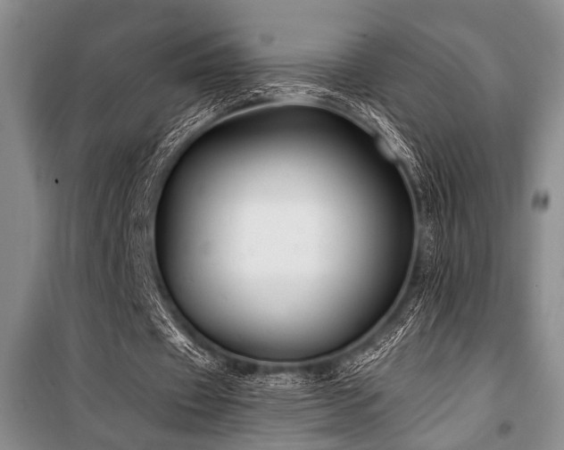 X0000101140433200806270923