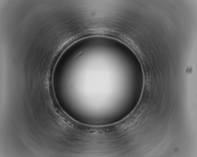 X0000101140434200806270923