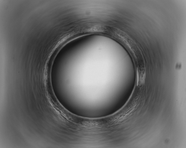 X0000101140435200806270923