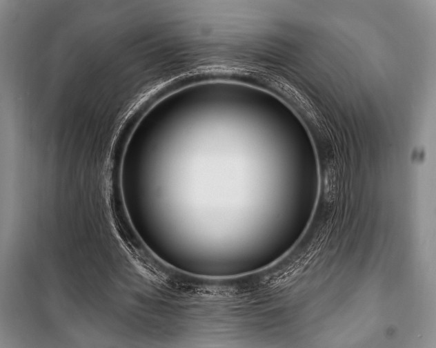 X0000101140436200806270923