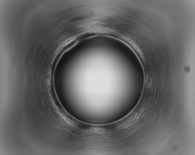 X0000101140437200806270923