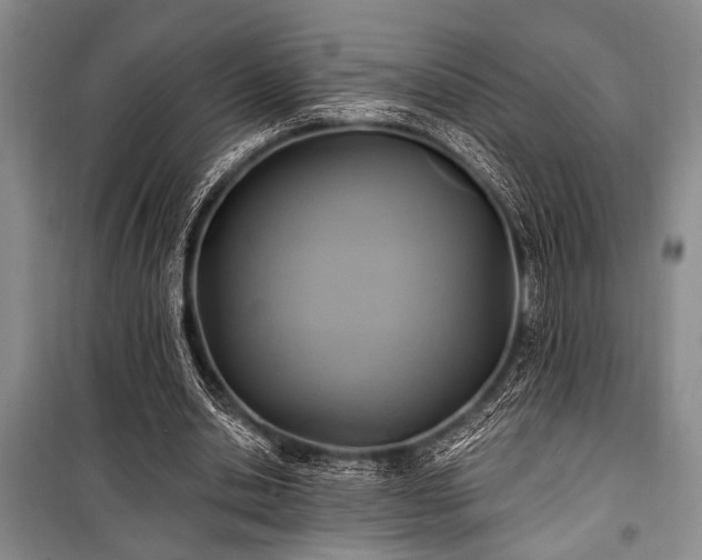 X0000101140438200806270923