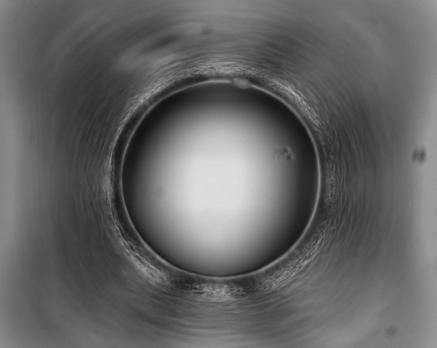 X0000101140439200806270923