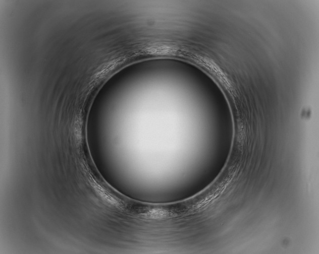 X0000101140441200806270923