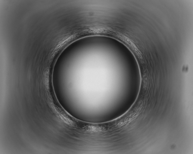 X0000101140442200806270923