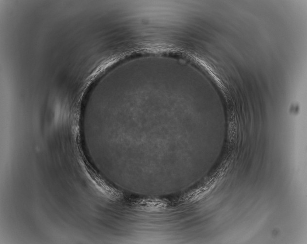 X0000101140443200806270923