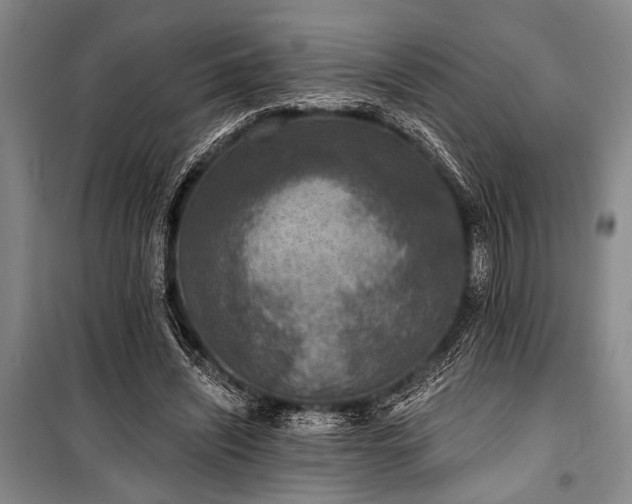 X0000101140444200806270923