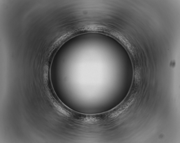 X0000101140445200806270923