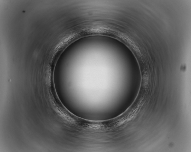 X0000101140446200806270923