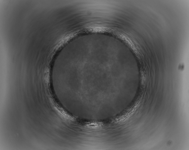 X0000101140447200806270923