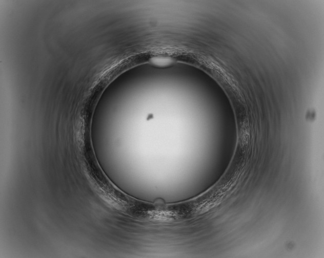 X0000101140448200806270923