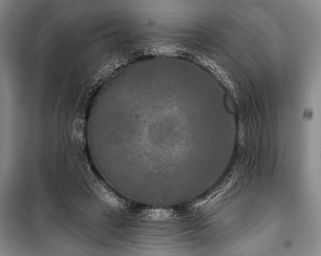 X0000101140449200806270923