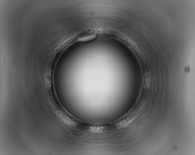 X0000101140450200806270923