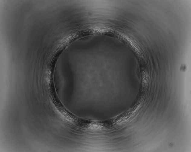 X0000101140451200806270923