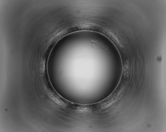 X0000101140454200806270923