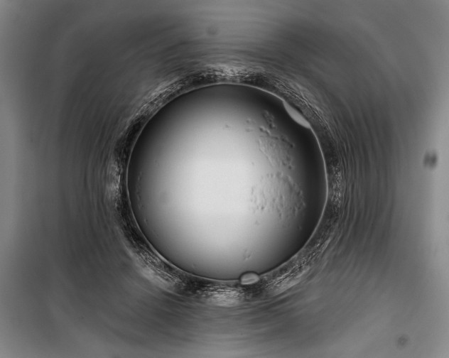 X0000101140456200806270924