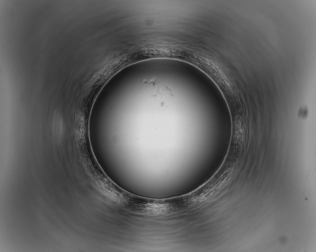 X0000101140457200806270924