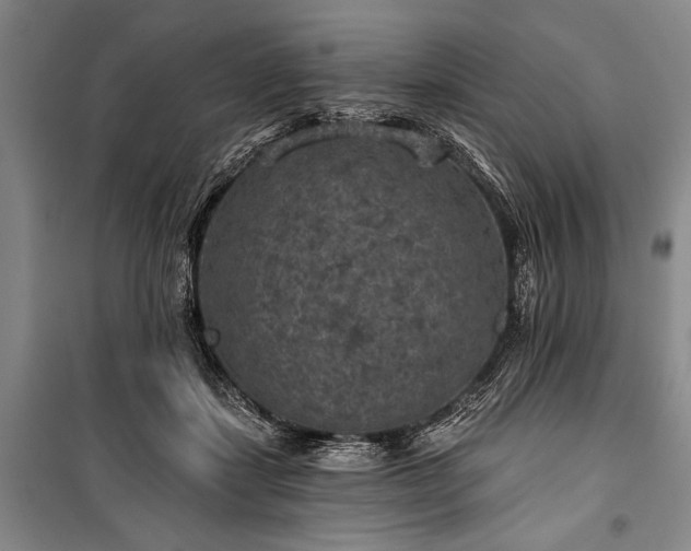 X0000101140459200806270924